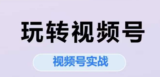 玩转视频号，视频号实战系列课-副业网