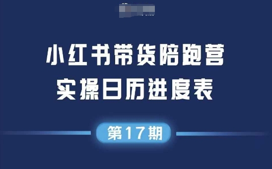 小红书第17期带货陪跑营，不囤货，无不直播，无不投流，通过选品+笔记内容+测品+笔记铺量+矩阵运营打爆款-副业网