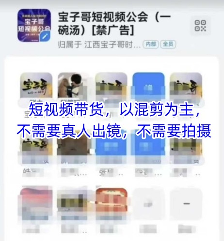 宝子哥头部团队短视频带货，以混剪为主，不需要真人出镜，不需要拍摄【更新6月】-副业网