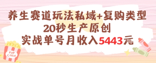 养生赛道玩法私域+复购类型，20秒生产原创实战单号月收入5k+-副业网