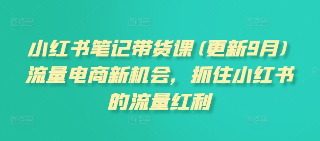 小红书笔记带货课(更新25年6月)流量电商新机会，抓住小红书的流量红利-副业网
