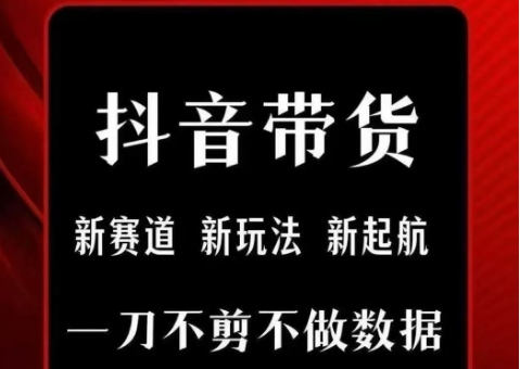 抖音短视频一刀不剪带货，不剪辑，不直播，每天发个视频，等着出单获取带货佣金-副业网