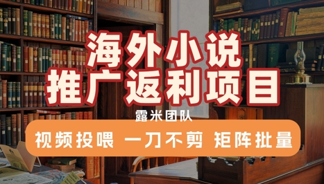 海外小说推广返利项目，视频投喂， 一刀不剪，矩阵批量-副业网