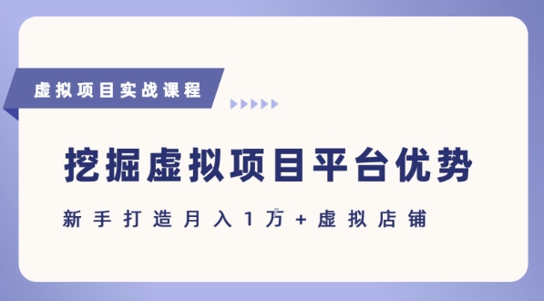 抓住虚拟项目各平台优势，新手轻松月入1W+(给出具体建议)-副业网