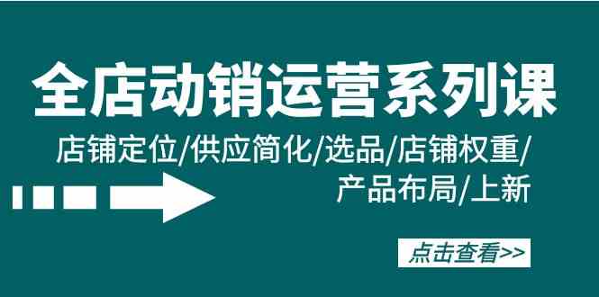 全店动销运营系列课：店铺定位/供应简化/选品/店铺权重/产品布局/上新-副业网