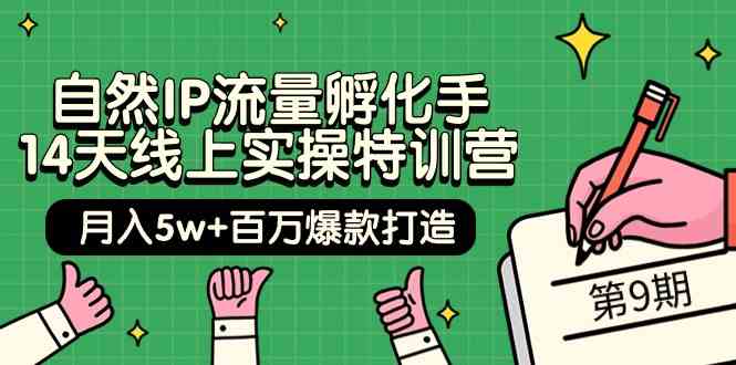 自然IP流量孵化手14天线上实操特训营【第9期】月入5w+百万爆款打造 (74节)-副业网