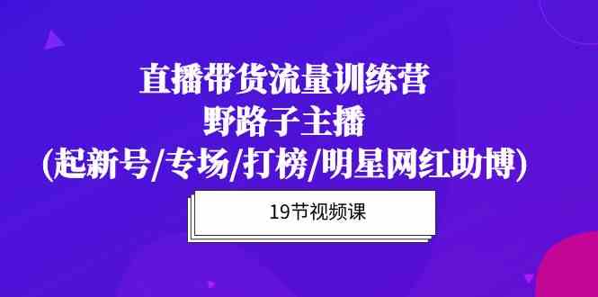 直播带货流量特训营，野路子主播(起新号/专场/打榜/明星网红助博)-副业网