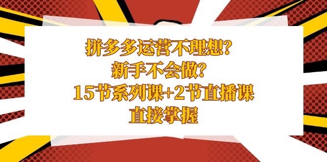 拼多多运营不理想？新手不会做？15节系列课+2节直播课学会直接掌握-副业网