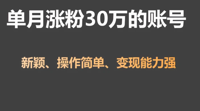 单月涨粉30万，带货收入20W，5分钟就能制作一个视频！-副业网
