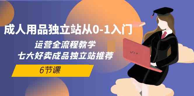 成人用品独立站从0-1入门，运营全流程教学，七大好卖成品独立站推荐（6节课）-副业网