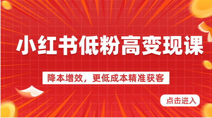 小红书低粉高变现课-降本增效，更低成本精准获客，小红书必爆的流量密码-副业网