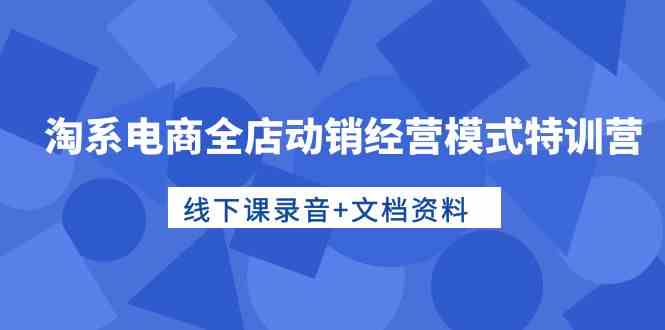 淘系电商全店动销经营模式特训营，线下课录音+文档资料-副业网