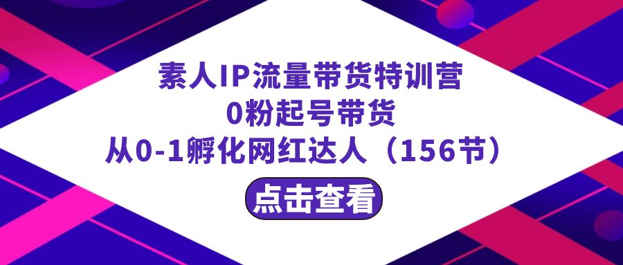 繁星·计划素人IP流量带货特训营：0粉起号带货 从0-1孵化网红达人（156节）-副业网