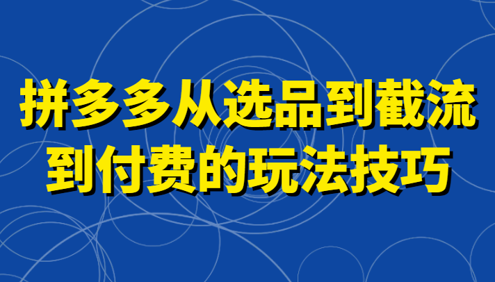 拼多多从选品到截流到付费的玩法技巧，助你掌握截流自然流量，高投产，强付费快速启动-副业网
