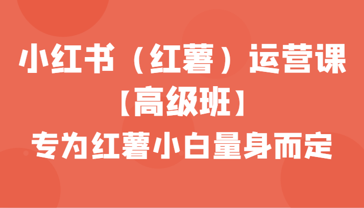 小红书（红薯）运营课【高级班】，专为红薯小白量身而定（42节课）-副业网