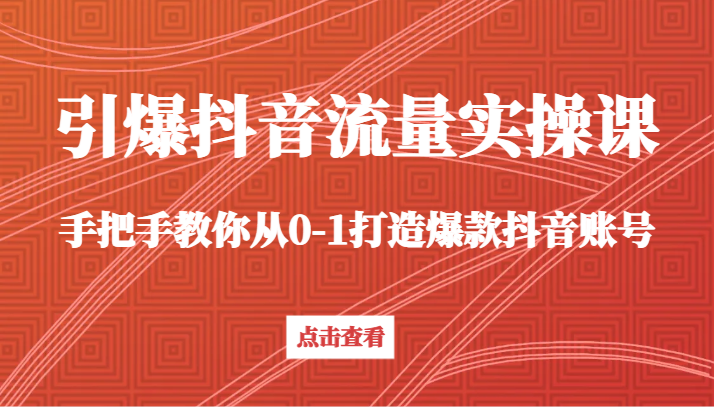 引爆抖音流量实操课，手把手教你从0-1打造爆款抖音账号（27节课）-副业网