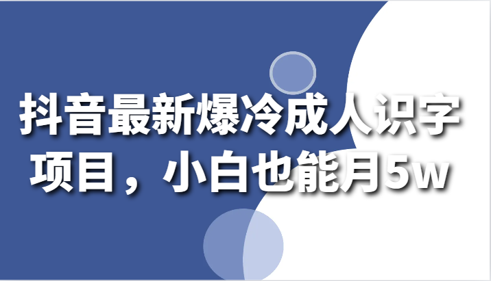 抖音最新爆冷成人识字项目，小白也能月5w-副业网