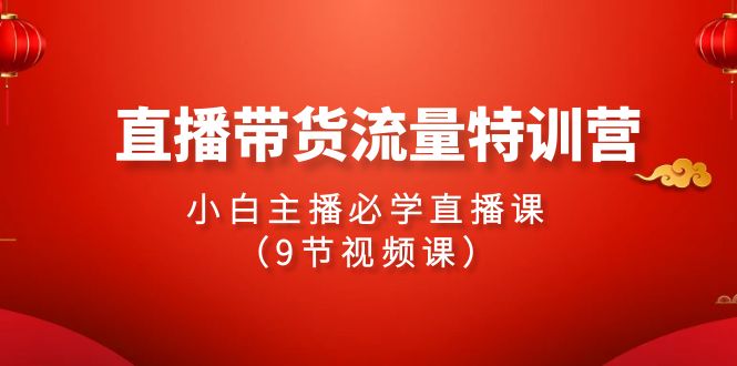 2024直播带货流量特训营，小白主播必学直播课（9节视频课）-副业网