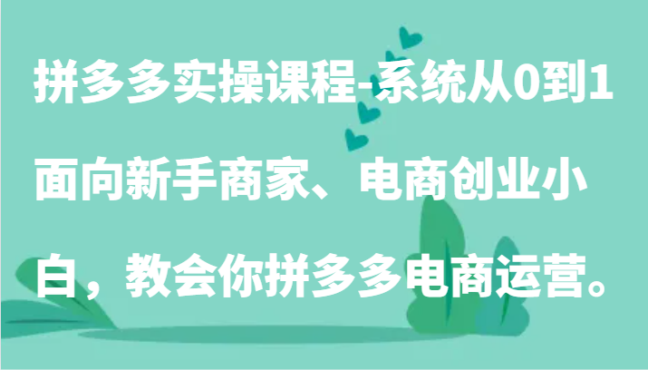 拼多多实操课程-系统从0到1，面向新手商家、电商创业小白，教会你拼多多电商运营。-副业网
