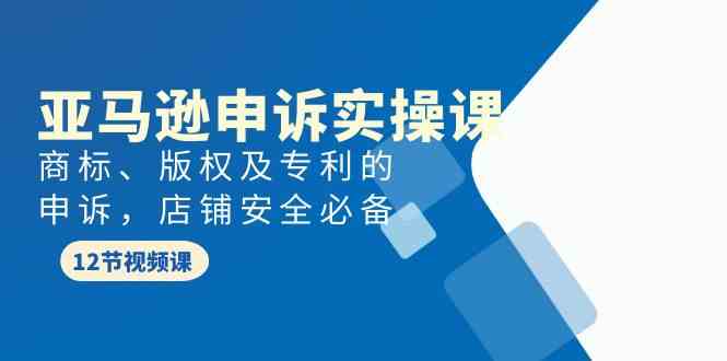 亚马逊申诉实战课，商标、版权及专利的申诉，店铺安全必备-副业网