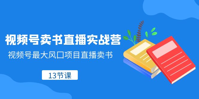 视频号卖书直播实战营，视频号最大风囗项目直播卖书（13节课）-副业网