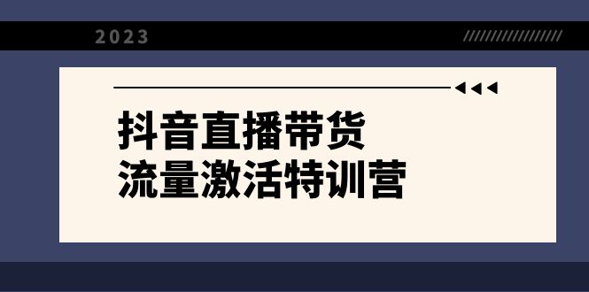 抖音直播带货-流量激活特训营，入行新手小白主播必学（21节课+资料）-副业网