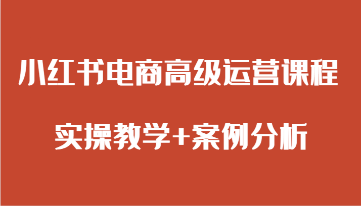 小红书电商高级运营课程 实操教学+案例分析-副业网