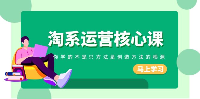 淘系运营核心课，你学的不只是方法而是创造方法的根源（190节课）-副业网