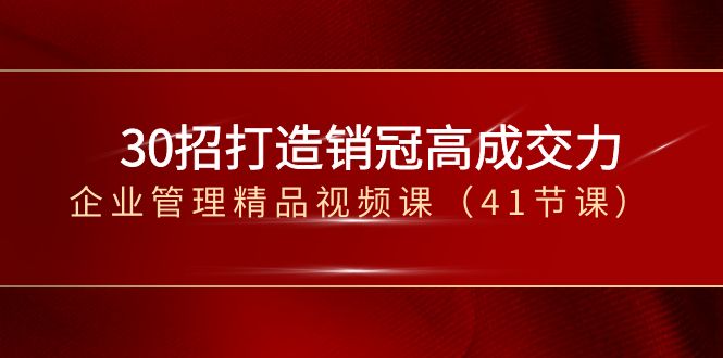 30招打造销冠高成交力-企业管理精品视频课（41节课）-副业网
