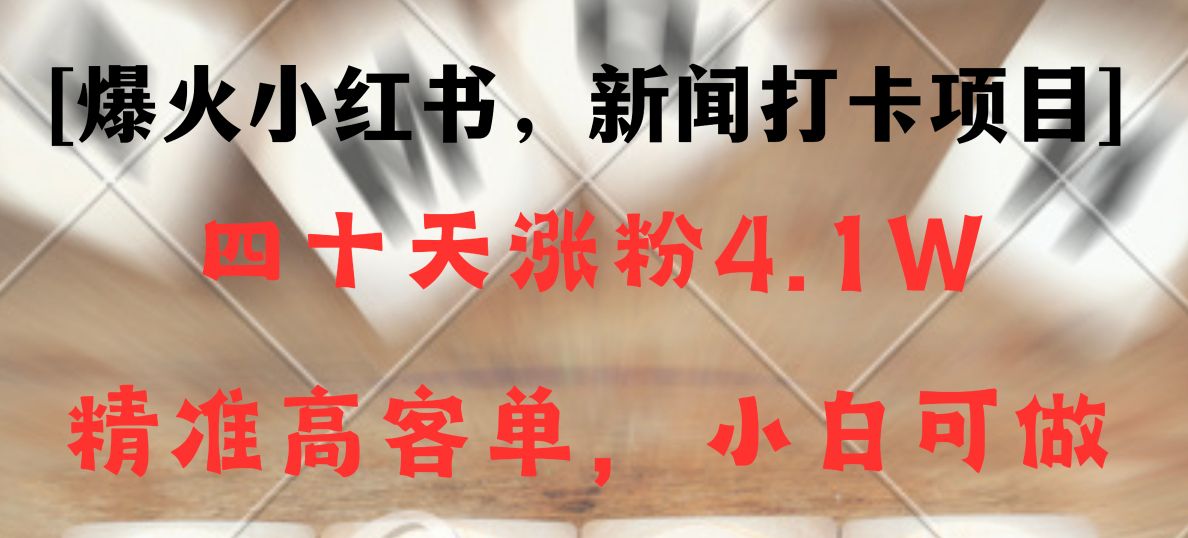 新闻打卡项目，小红书40天涨粉4.1w，高客单精准粉，变现能力超强-副业网