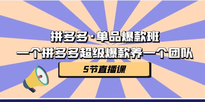 拼多多·单品爆款班，一个拼多多超级爆款养一个团队（5节直播课）-副业网
