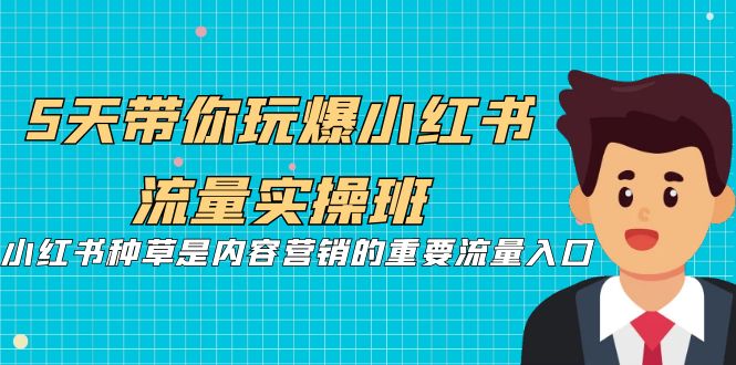 5天带你玩爆小红书流量实操班，小红书种草是内容营销的重要流量入口-副业网