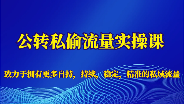 公转私偷流量实操课，致力于拥有更多自持，持续，稳定，精准的私域流量-副业网