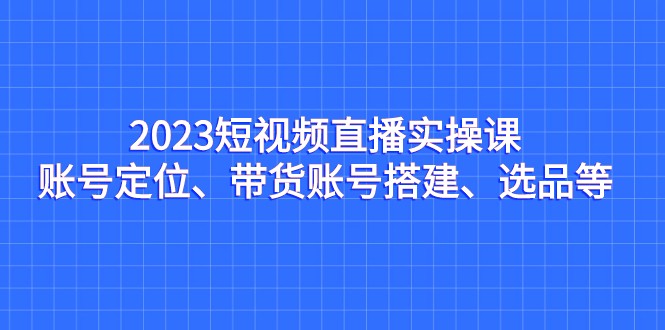 2023短视频直播实操课，账号定位、带货账号搭建、选品等-副业网