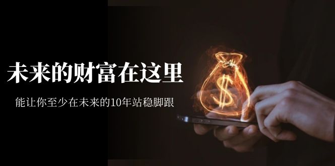 某收费文章《未来的财富在这里》能让你至少在未来的10年站稳脚跟-副业网