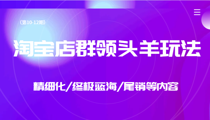 淘宝店群领头羊玩法，精细化/终极蓝海/尾销等内容（第10-12期）-副业网