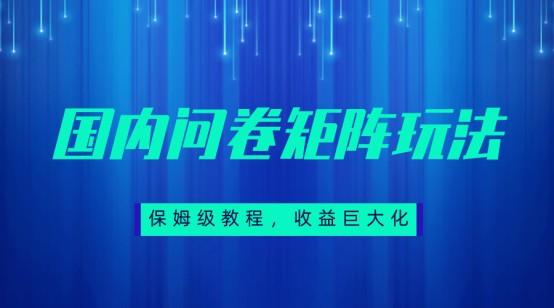 保姆级教程，国内问卷矩阵玩法，轻松赚收益-副业网