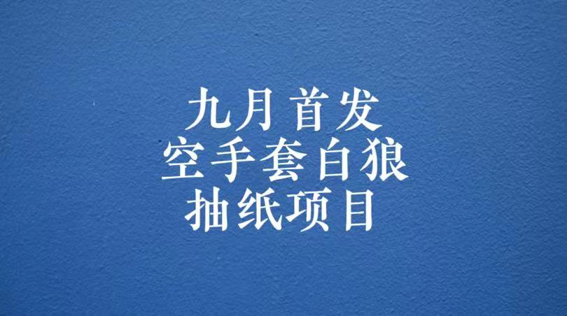 0成本，日入100-500空手套白狼抽纸项目，保姆级教学-副业网