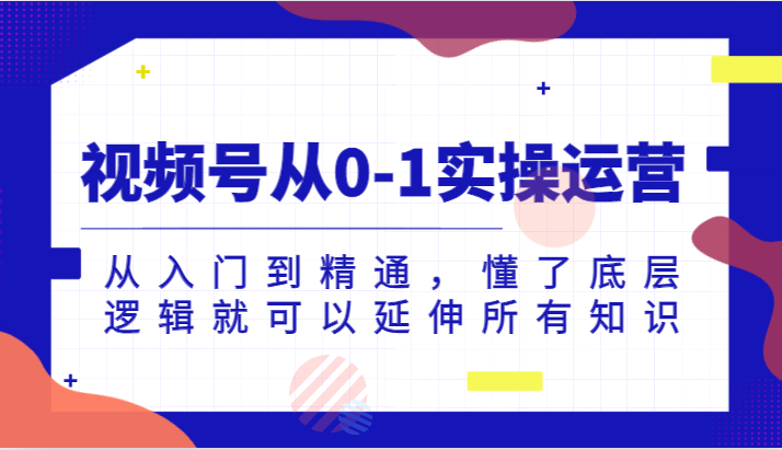 视频号从0-1实操运营，从入门到精通，懂了底层逻辑就可以延伸所有知识-副业网