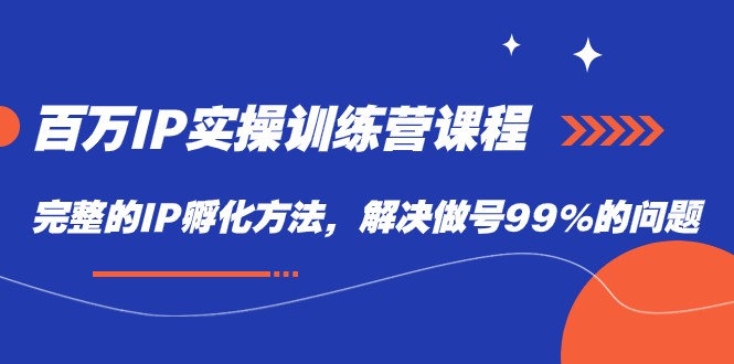 百万IP实战训练营课程，完整的IP孵化方法，解决做号99%的问题-副业网
