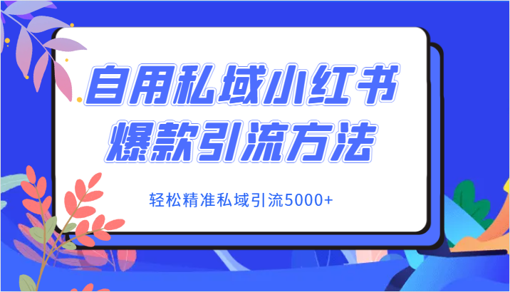 自用私域小红书爆款引流方法，轻松精准私域引流5000+-副业网