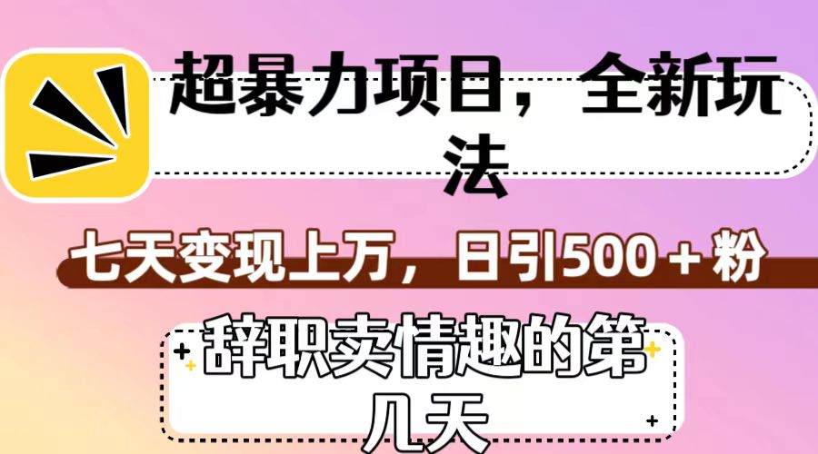 超暴利项目，全新玩法（辞职卖情趣的第几天），七天变现上万，日引500+粉-副业网