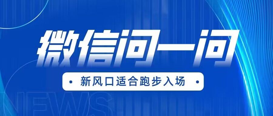 全网首发微信问一问新风口变现项目（价值1999元）-副业网