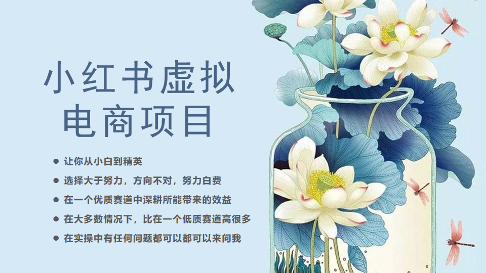 小红书虚拟电商从0到1小白到精英（20节实操课程）-副业网