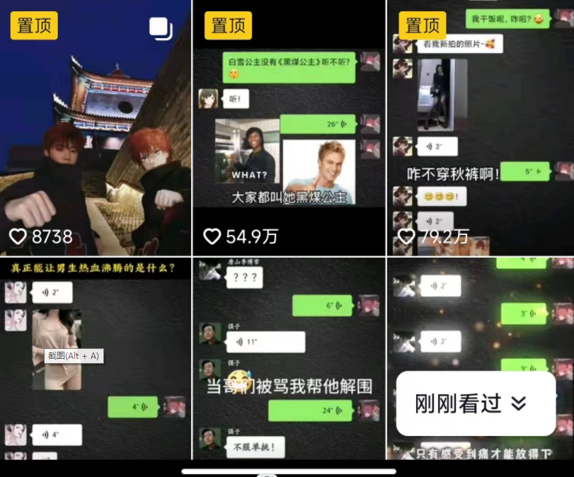 图片[2]-抖音搞笑对话项目详解-涨粉快作品简单，小白轻松上手-副业网