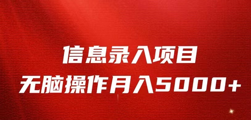 信息录入返佣项目，小白无脑复制粘贴，月入5K+-副业网