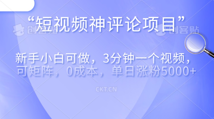 短视频神评论，一天收益500+，新手小白也可操作，长期项目，纯利润-副业网