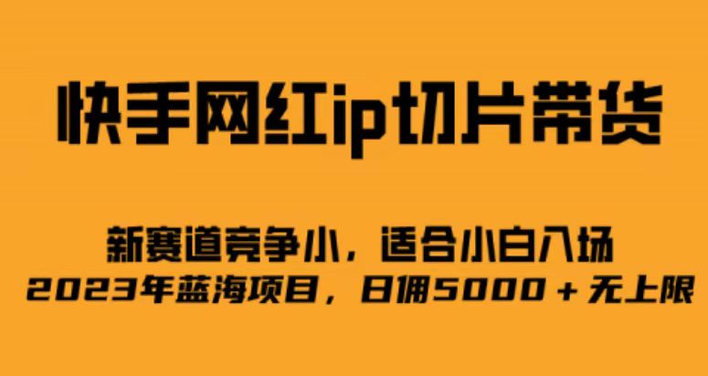 快手网红ip切片新赛道，竞争小，适合小白  2023蓝海项目-副业网