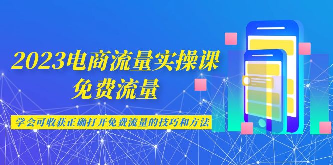 2023电商流量实操课-免费流量，学会可收获正确打开免费流量的技巧和方法-副业网