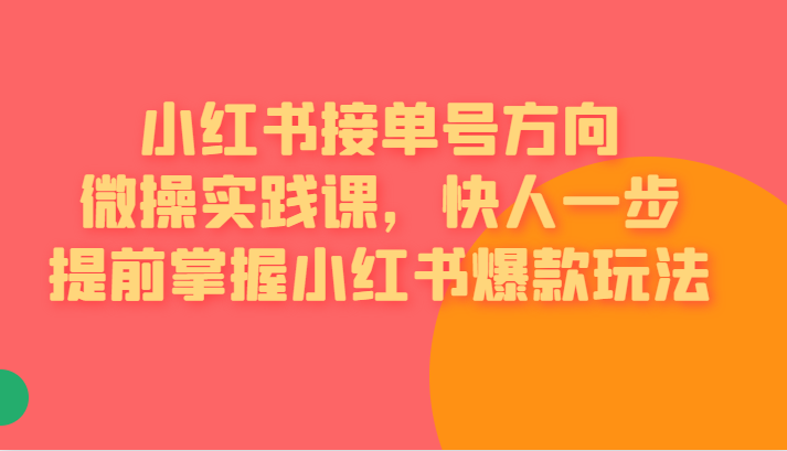 小红书接单号方向微操实践课，快人一步提前掌握小红书爆款玩法-副业网